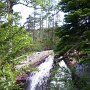 <p align=left>Southeast Brook Falls, au bout d'un petit sentier
